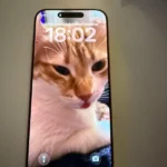 Canan Uyarer ürün değerlendirmesi